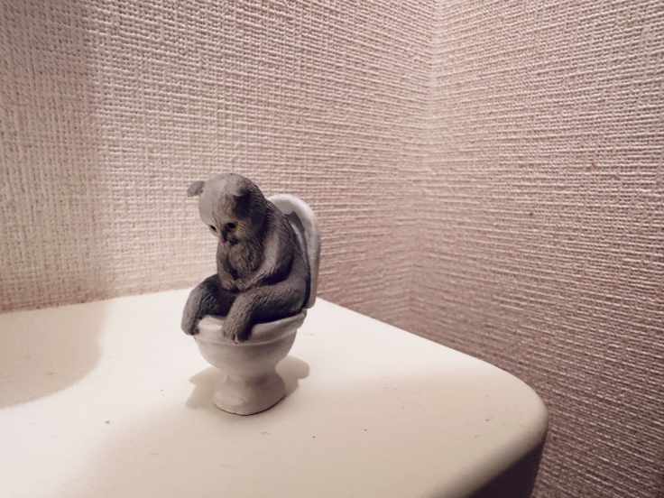 浴室收納分享！日本宿舍衛浴收納大公開！