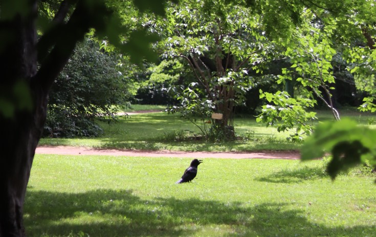北海道日記#01  札幌！好久不見！