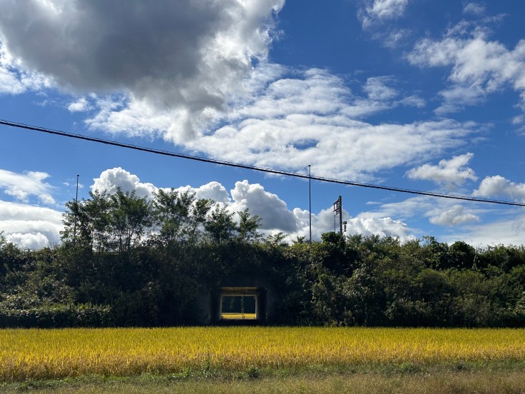 【日本留學日記#15】新的興趣