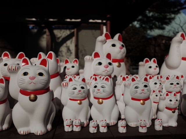 滿山滿海的豪徳寺招財貓